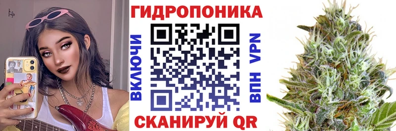 Конопля семена Иннополис